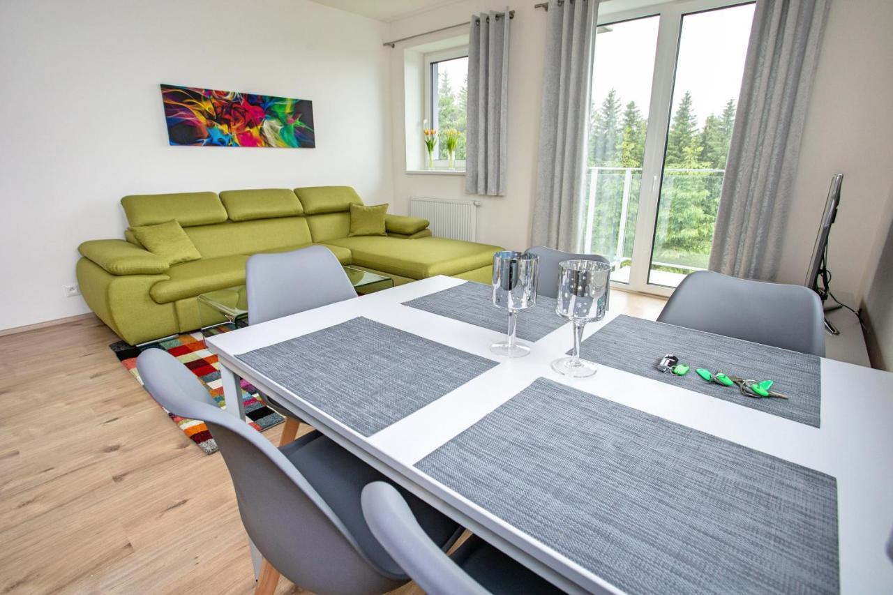 Green Apartment Klinovec By Mountain Ways Loučná pod Klínovcem 外观 照片