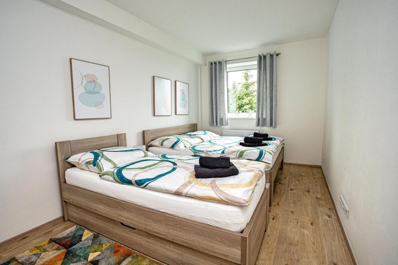 Green Apartment Klinovec By Mountain Ways Loučná pod Klínovcem 外观 照片