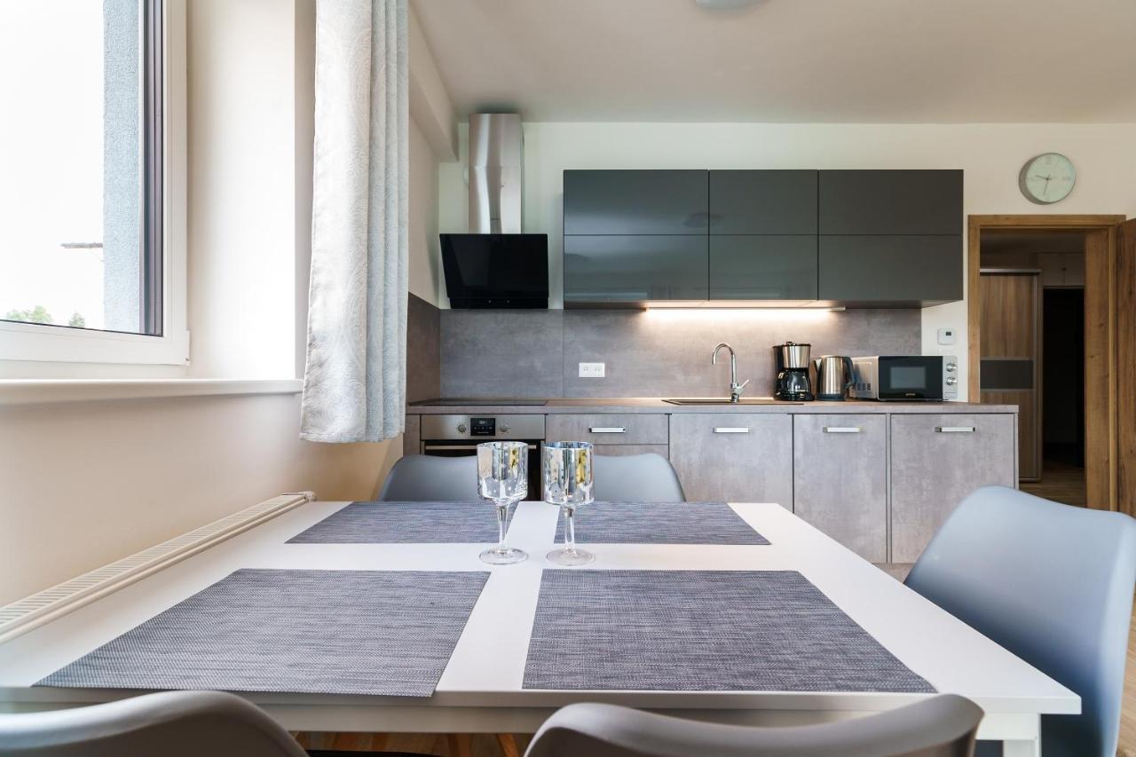 Green Apartment Klinovec By Mountain Ways Loučná pod Klínovcem 外观 照片