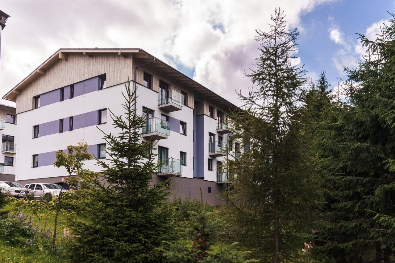 Green Apartment Klinovec By Mountain Ways Loučná pod Klínovcem 外观 照片