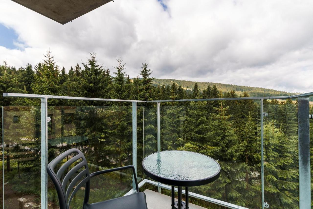 Green Apartment Klinovec By Mountain Ways Loučná pod Klínovcem 外观 照片